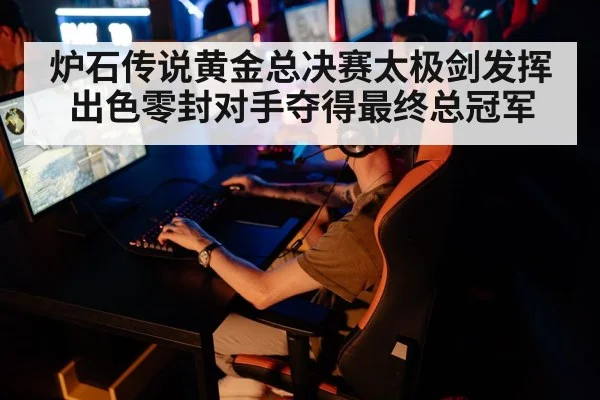 炉石传说黄金总决赛太极剑发挥出色零封对手夺得最终总冠军